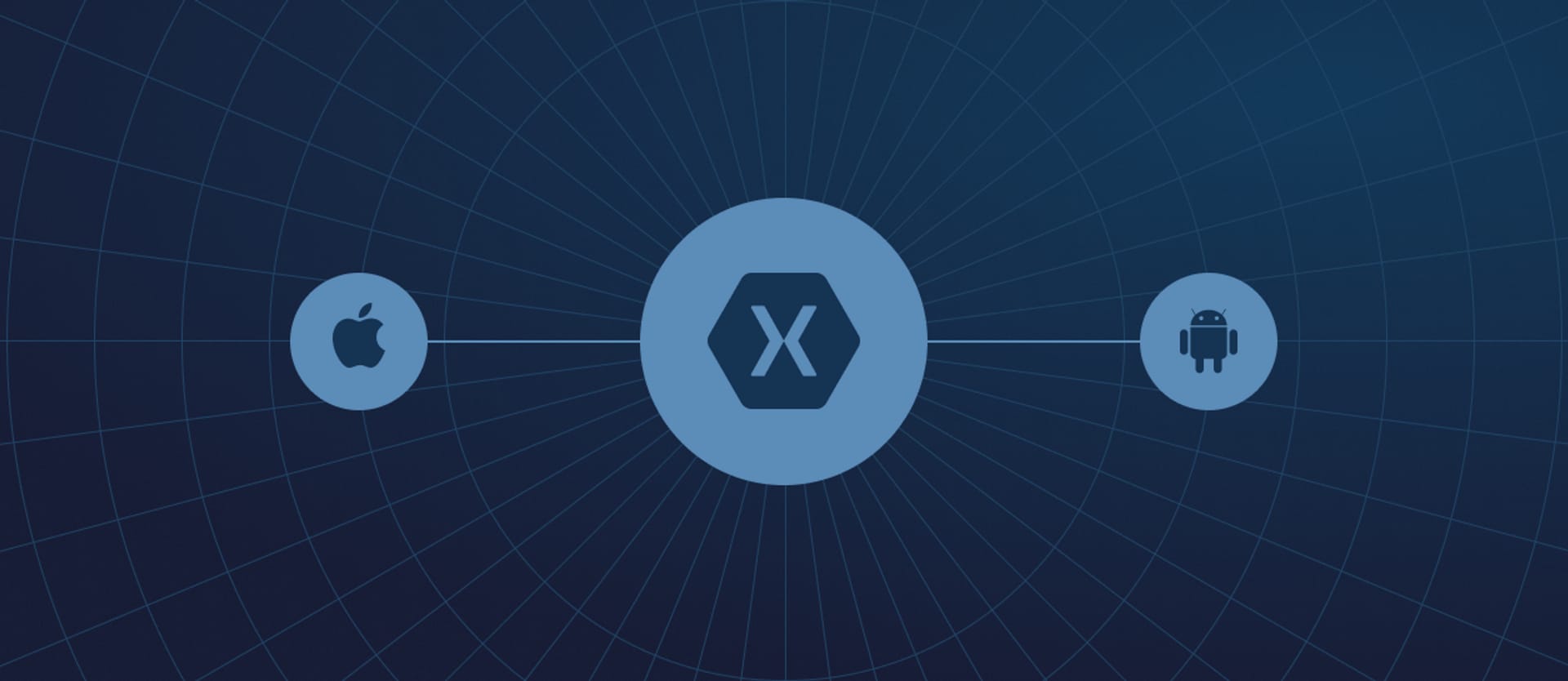 Pros Cons of Native vs Cross Platform Mobile Development with Xamarin