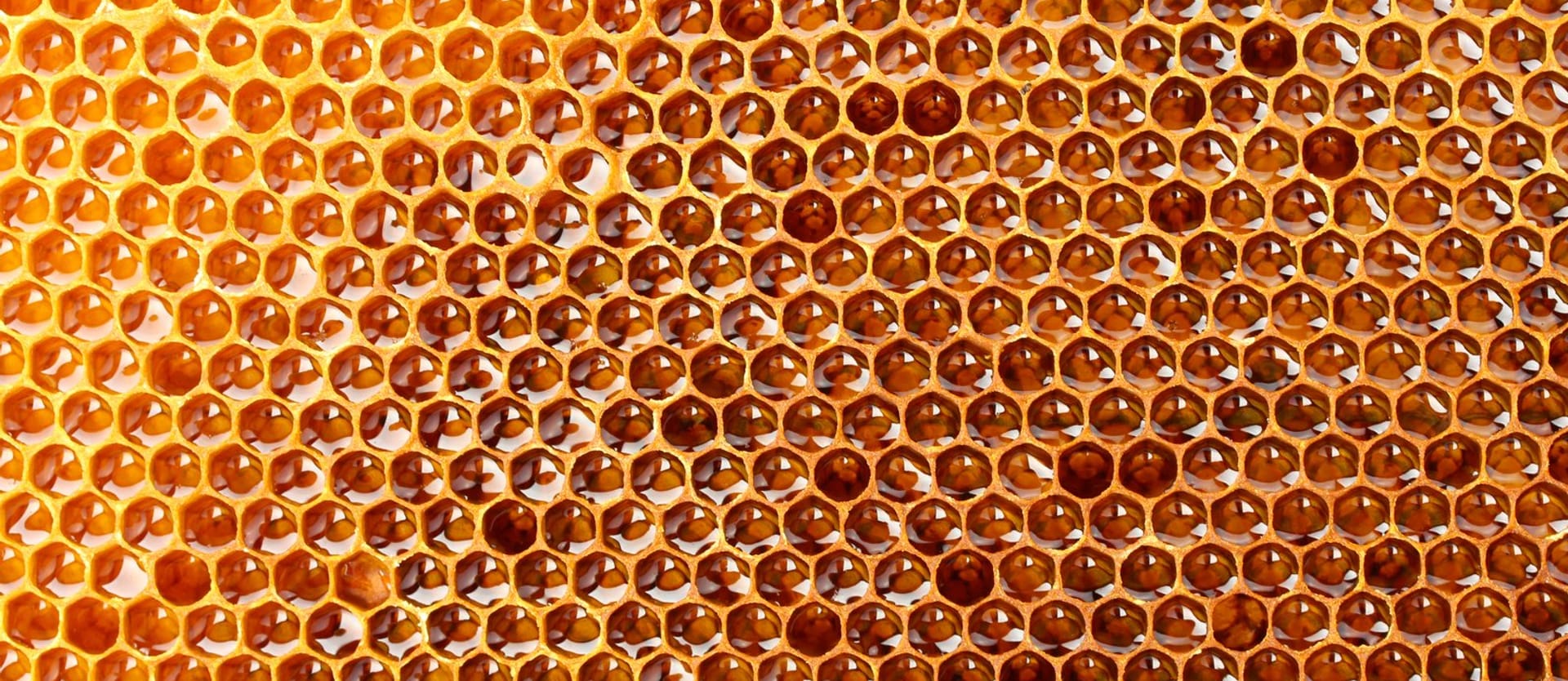 Honeycombs