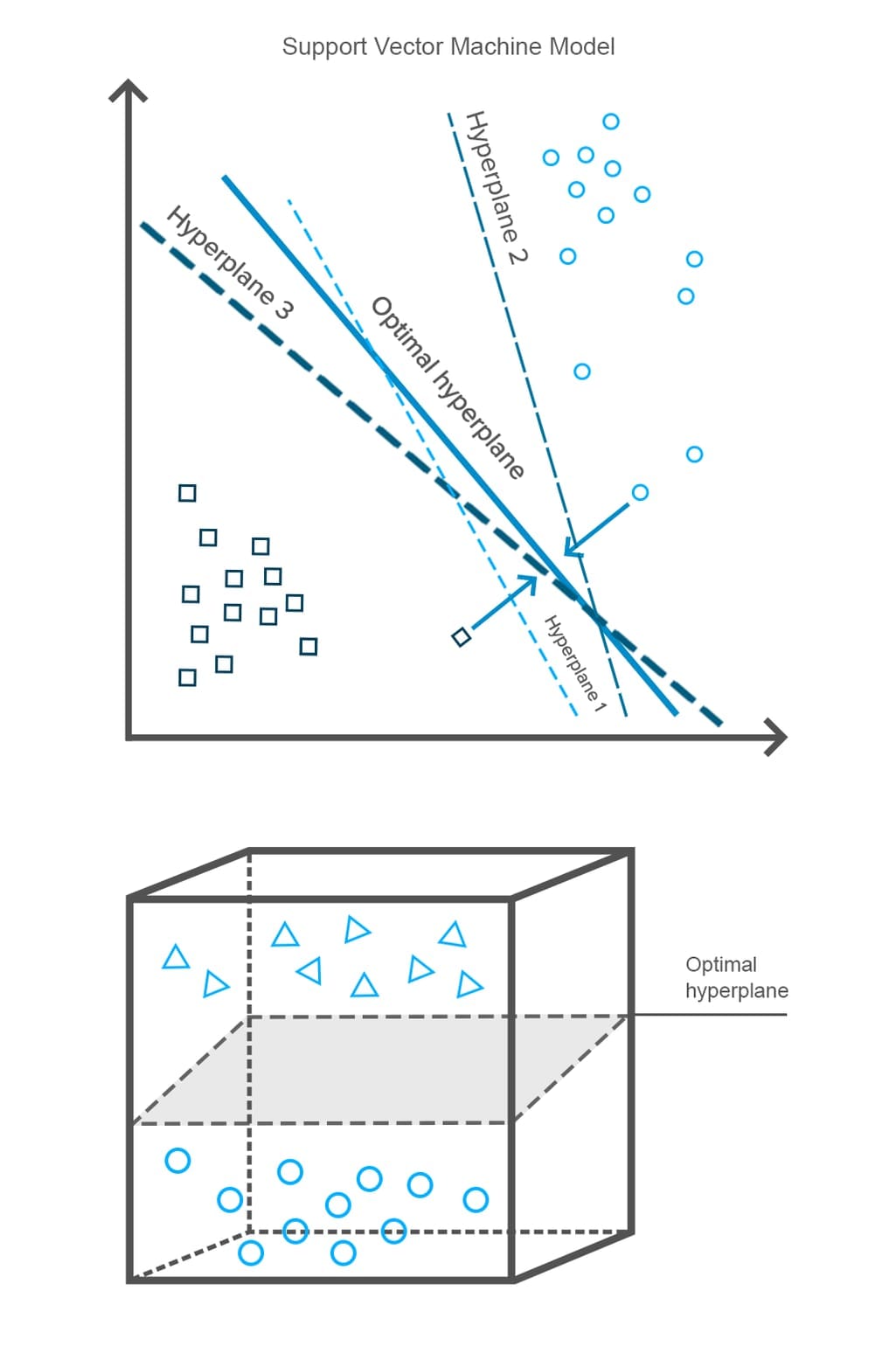 Support Vector Machine Model