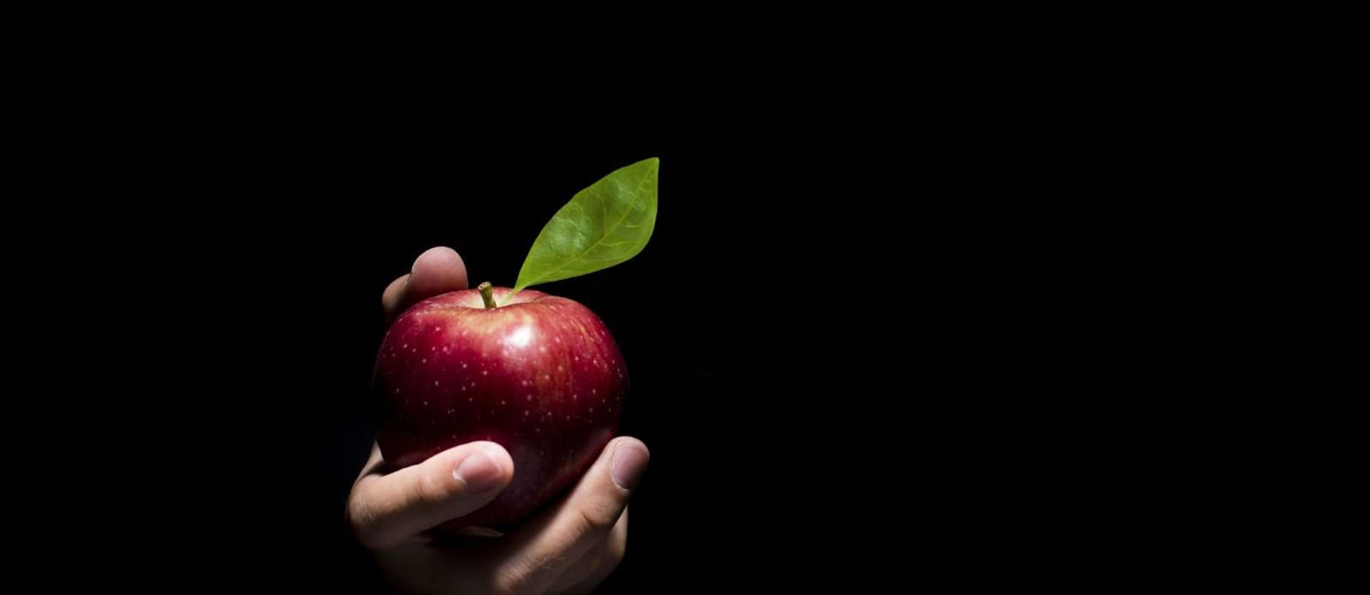 forbidden fruit apple