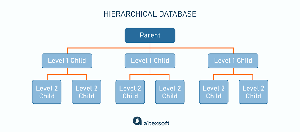 hierarchical database