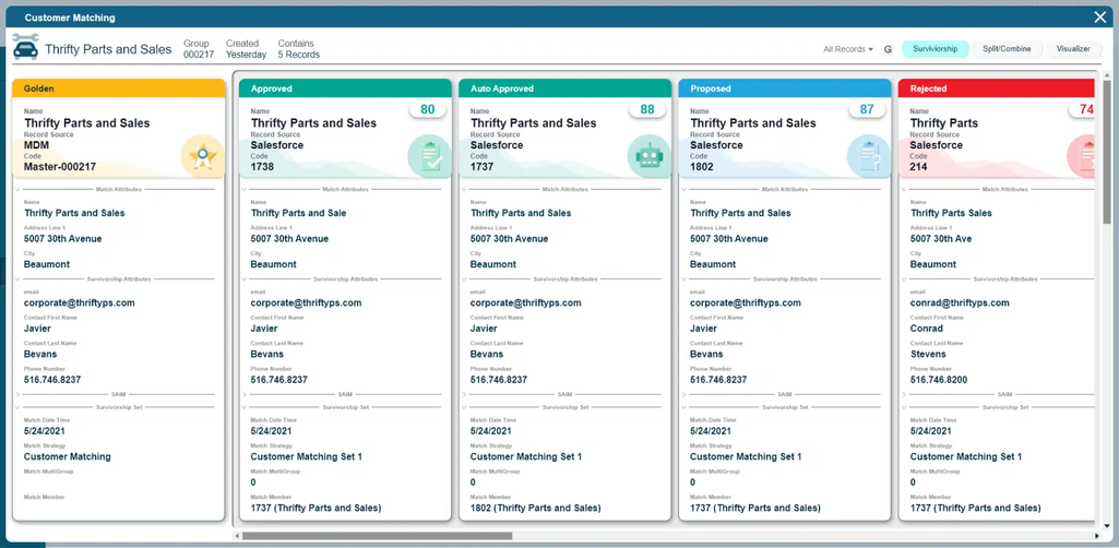 Profisee’s customer matching interface